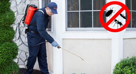 Vezirköprü Gümüşkurt İlaçlama böcek ilaçlama ve haşere kontrolü — ilaclama-tr.com